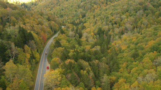 Aerial Drone view of Car driving in Fall / Autumn leaf foliage on a High Mountain road.  Vibrant yellow, orange, and red colors in Asheville, NC in the Blue ridge Mountains.