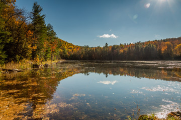 Mountain and colorful trees reflected in a pond on a beautiful autumn day