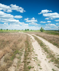 Fototapeta premium summer landscape