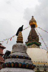The birds around the stupa (and its eyes) in the middle of Kathmandu local market