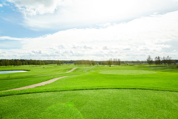 Magnificent scenery of vast green fields or prairies with forest on background and cloudy sky above