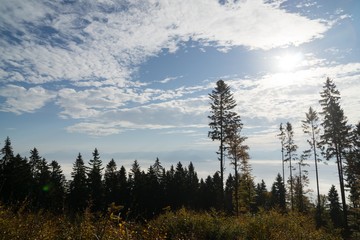 View from mountains with cloudy inversion below. Slovakia