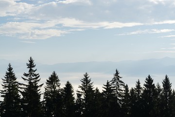 View from mountains with cloudy inversion below. Slovakia