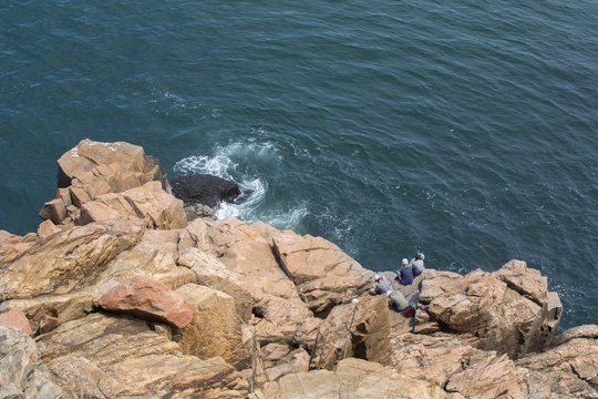 Snapling in the shore of Acadia National Park, USA
