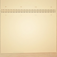 An open blank notebook, pages in a cage. Background of open notebook. Vintage toned.