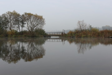 The shore of the forest lake is beautiful in early autumn