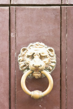 Specchia, Apulia - A golden old door knob in the shape of a lion