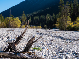 Heisser Sommer und goldener Herbst f&uuml;hren trockenen Bergfl&uuml;ssen
