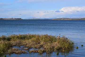 landscape with lake