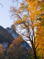 Goldener Herbst am Kofel, dem Wahrzeichen von Oberammergau