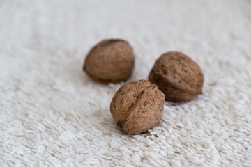Walnuts on white blanket. Slovakia