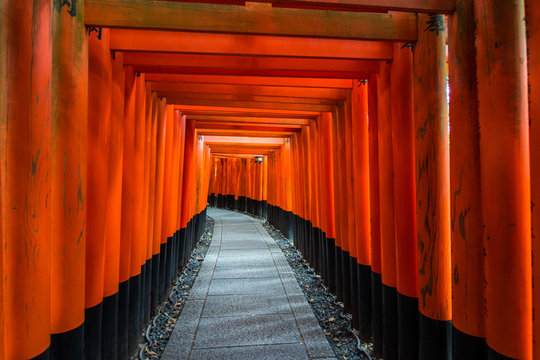 red toriis pathway at fushimi inure in kyoto, Japan
