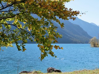 Plansee im goldenen Herbst