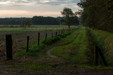 Farmland field and irrigation ditch at sunrise