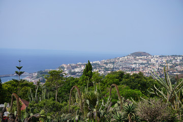 Jardin botanique - Vue de Funchal - Mad&egrave;re