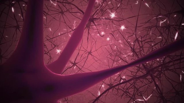 Flying inside human eye, iris and neurons in brain - 3D rendered animation.