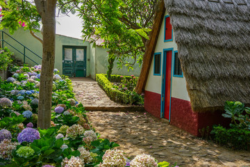 Jardin botanique - Maison de Colmo Santana - Mad&egrave;re