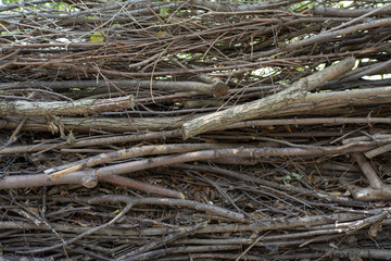 Texture of a rural wall made of sticks and branches