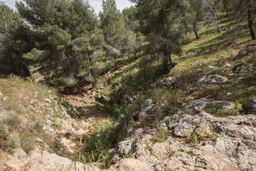 Tsalmon river,near Gilboa mountain, Galilee, Israel
