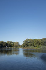 Fototapeta premium Park latem