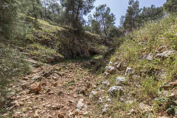 Tsalmon river,near Gilboa mountain, Galilee, Israel