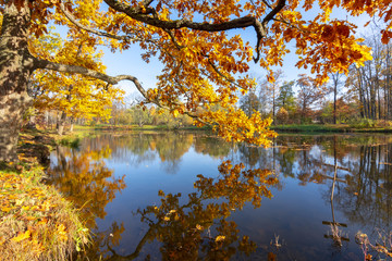 Golden autumn (fall) in Alexander park, Tsarskoe Selo (Pushkin) Saint Petersburg, Russia