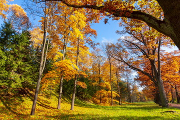 Catherine park in autumn, Tsarskoe Selo (Pushkin), Saint Petersburg, Russia