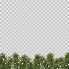Christmas border with pine tree branches on transparent background. Vector