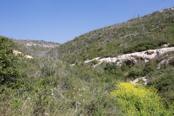 Old abandoned stone quarry on Carmel mount in Haifa, Israel
