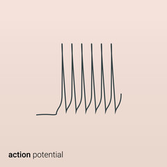 An action potential. Physiology of the working brain