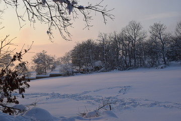 winter landscape with trees and snow