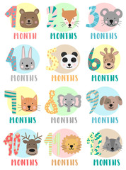 Vector image of 12 months for a baby with animals. A collection of children's stickers with numbers and bear, fox, mouse, rabbit, panda, giraffe, cat, elephant, dog, deer, lion, raccoon. Baby month