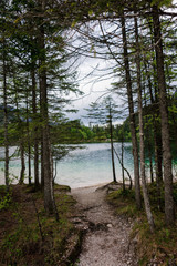 Obraz premium Blick durch Bäume auf Tovelsee Naturpark Impressionen Italien Lago di Tovel