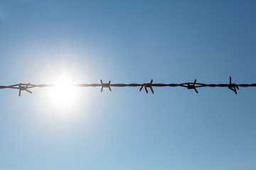 Stacheldraht im Gegenlicht
