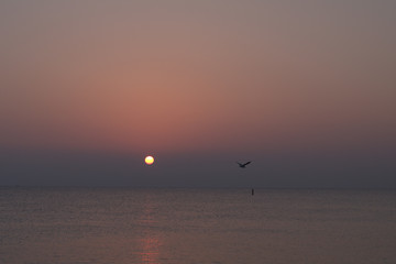 sunrise, sea, sun, sky,horizon,landscape, nature,view,panorama