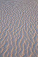 Fototapeta na wymiar Textures and patterns in the sand caused by wind