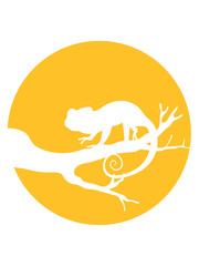 ast chamäleon mond nacht horror gruselig halloween rund kreis wald baum stamm klettern cool leguan eidechse reptil haustier dinosaurier waran süß niedlich klein comic cartoon clipart