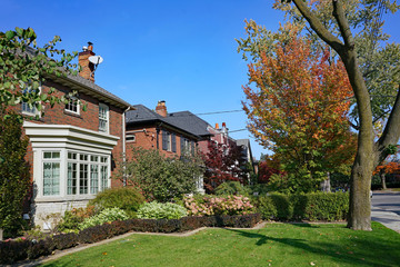 residential district with mature trees