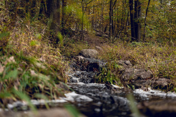 Stream Near Hiking Trail