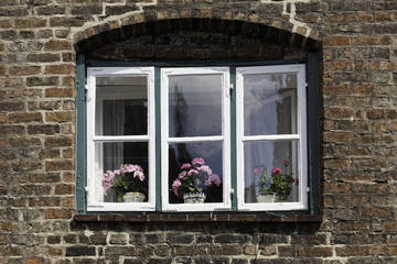 Windows in a red brick wall, with potted flowers