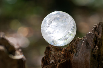 Lemurian Clear Quartz Sphere crystal magical orb on moss, bryophyta and bark, rhytidome in forest preserve.