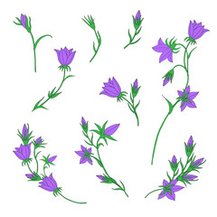 Bundle of Hand Drawn Bellflowers Isolated on White Background for Custom Pattern Designs and Illustrations for All Media, Web, Textile, Wallpaper. Cute Vector Bell Flower Pattern Designs 