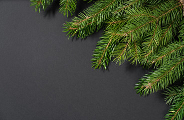 New Year's black background. spruce branches on the table