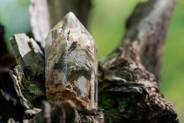 Natural polished shamanic dream quartz point with various inclusions on moss, bryophyta and bark, rhytidome in forest preserve.