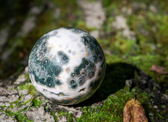 Orbicular ocean jasper sphere with crystallized vugs from Madagascar on moss, bryophyta and bark,...