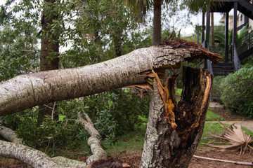 Aftermath of hurricane Michael