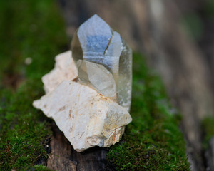 Cathedral citrine quartz point from Brazil nestled in matrix on moss, bryophyta and bark, rhytidome in forest preserve.