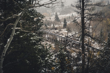 Fototapeta premium winter, snow, landscape, forest, cold, tree, trees, nature, mountain, sky, frost, white, ice, frozen, season, road, pine, blue, outdoor, snowy, park, fir, country, ski, river, outside, outdoors, adven