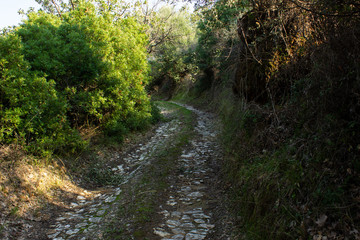 Fototapeta na wymiar Old countryside path