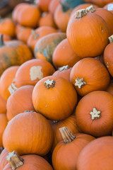 a lot of orange carving pumpkins on the farmer market